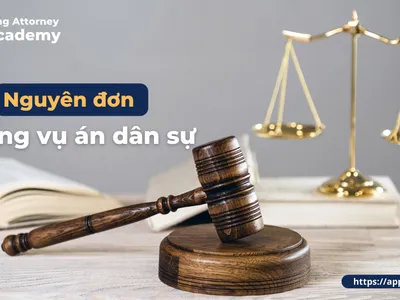 NGUYÊN ĐƠN TRONG VỤ ÁN DÂN SỰ