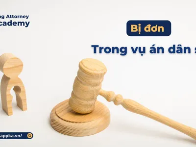 BỊ ĐƠN TRONG VỤ ÁN DÂN SỰ