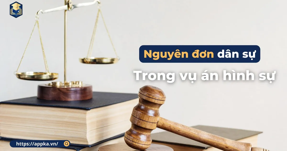 NGUYÊN ĐƠN DÂN SỰ TRONG VỤ ÁN HÌNH SỰ