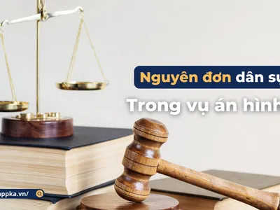 NGUYÊN ĐƠN DÂN SỰ TRONG VỤ ÁN HÌNH SỰ