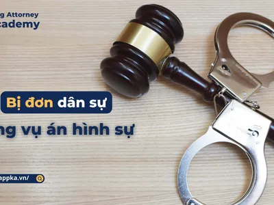 BỊ ĐƠN DÂN SỰ TRONG VỤ ÁN HÌNH SỰ