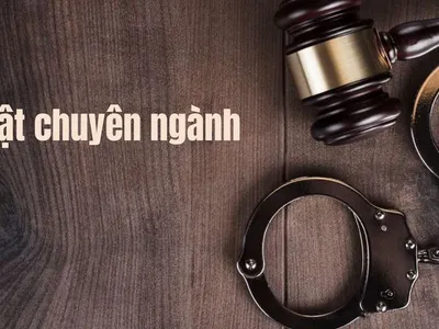 Luật chuyên ngành